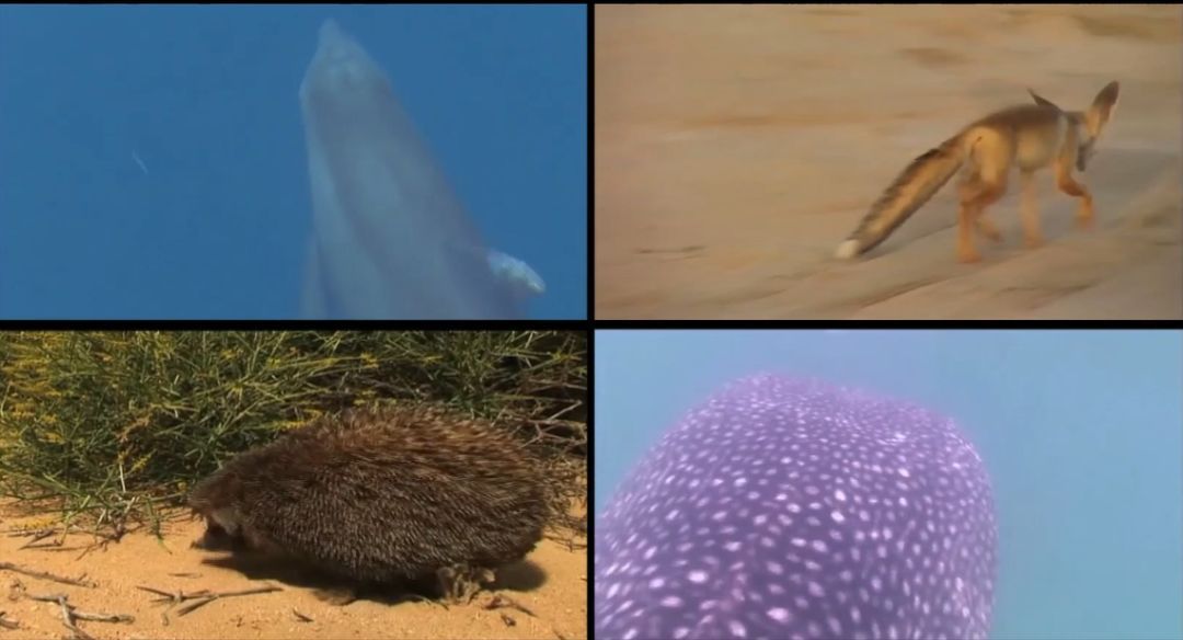 开元游戏大厅app·(中国集团)官方网站