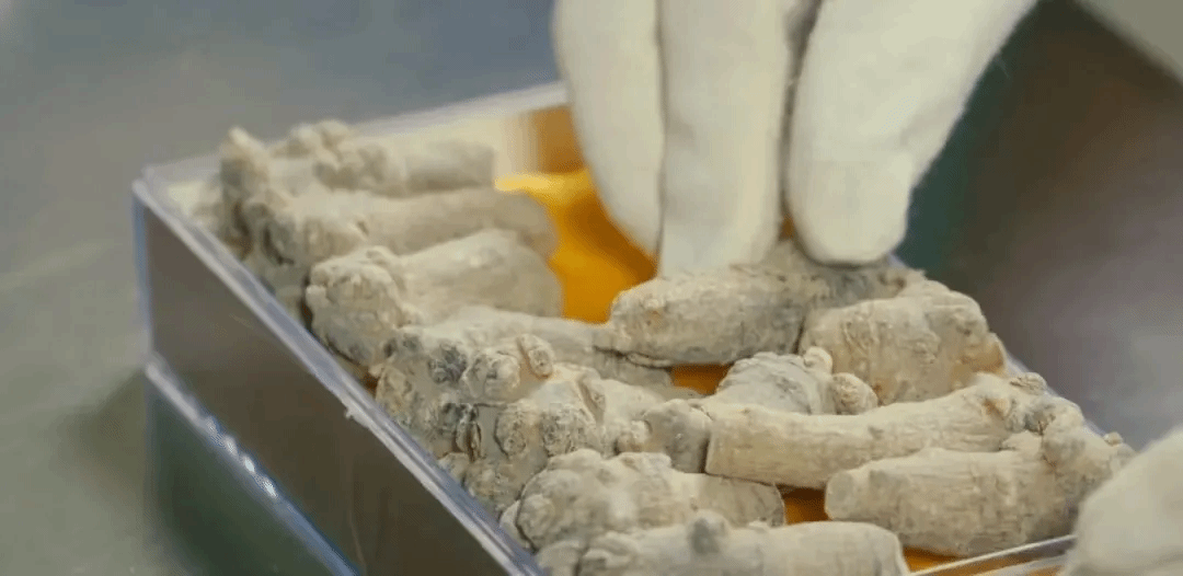 开元游戏大厅app·(中国集团)官方网站