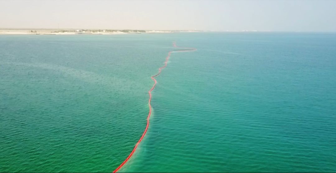 开元游戏大厅app·(中国集团)官方网站