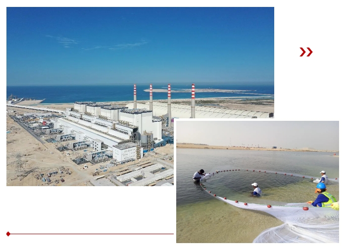 开元游戏大厅app·(中国集团)官方网站