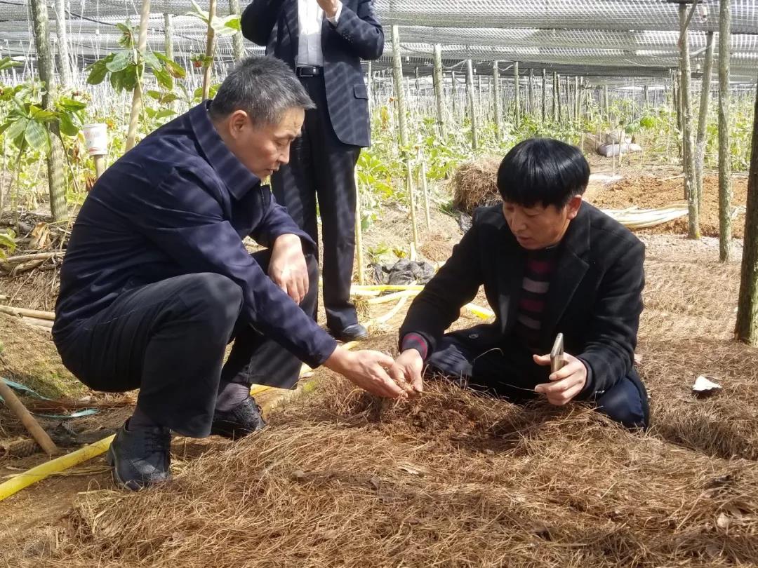 开元游戏大厅app·(中国集团)官方网站