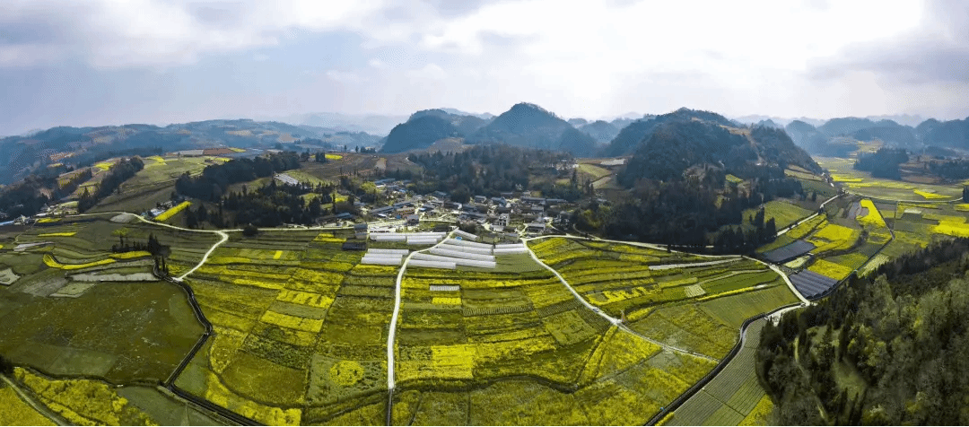 开元游戏大厅app·(中国集团)官方网站