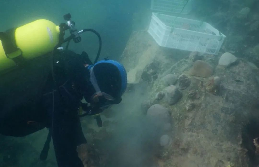 开元游戏大厅app·(中国集团)官方网站