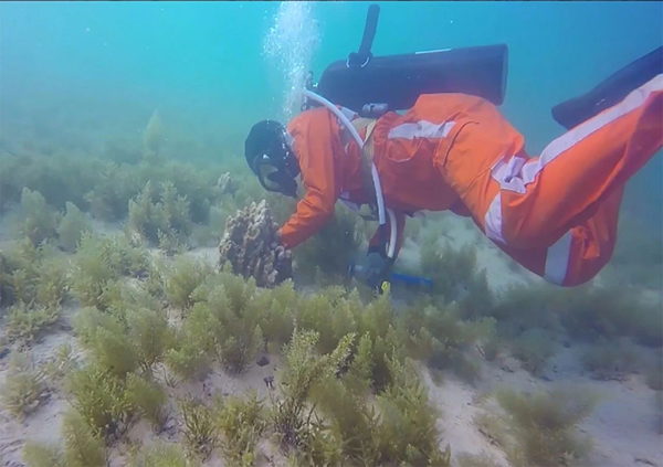 开元游戏大厅app·(中国集团)官方网站