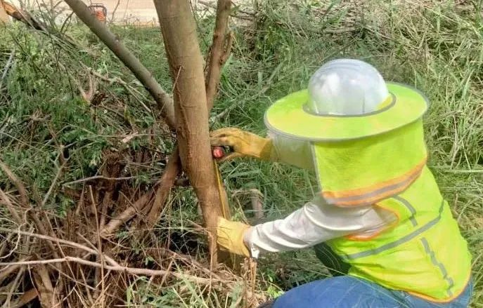 开元游戏大厅app·(中国集团)官方网站