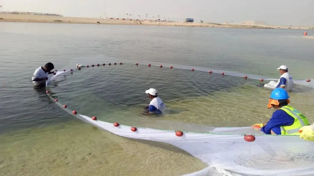 开元游戏大厅app·(中国集团)官方网站