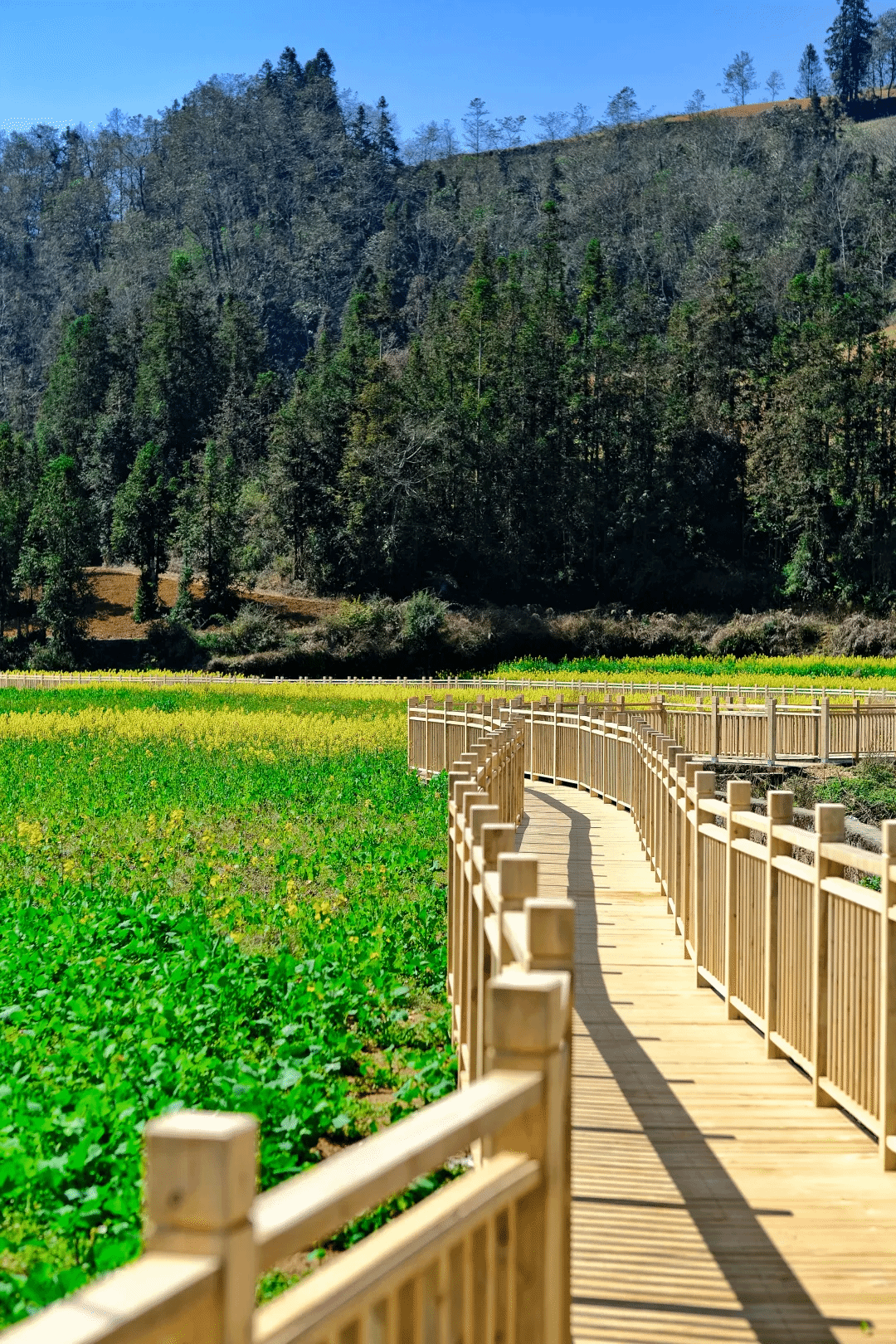 开元游戏大厅app·(中国集团)官方网站