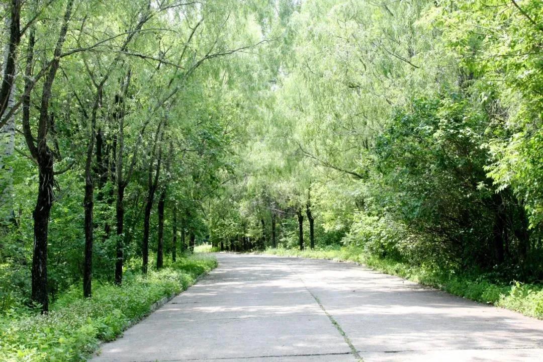 开元游戏大厅app·(中国集团)官方网站