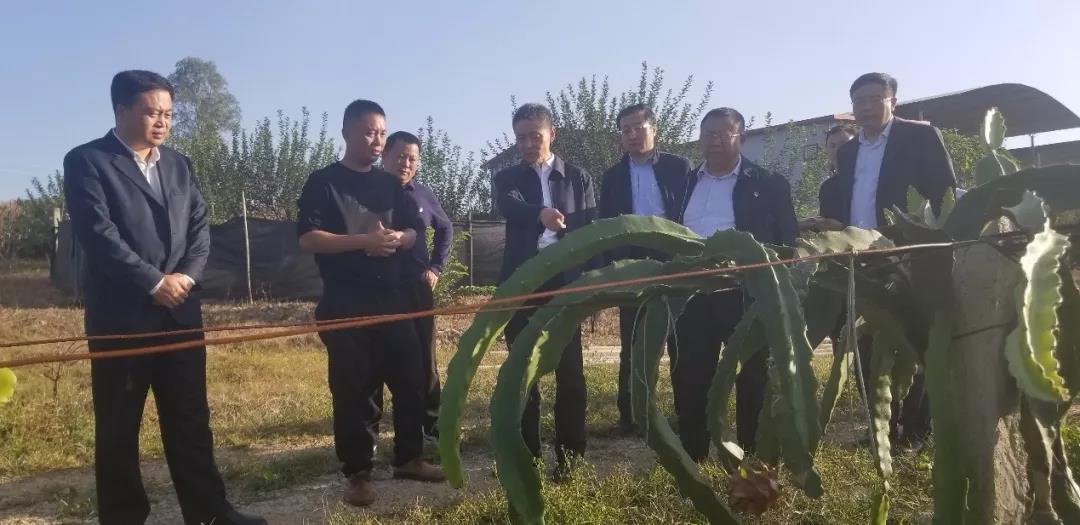 开元游戏大厅app·(中国集团)官方网站