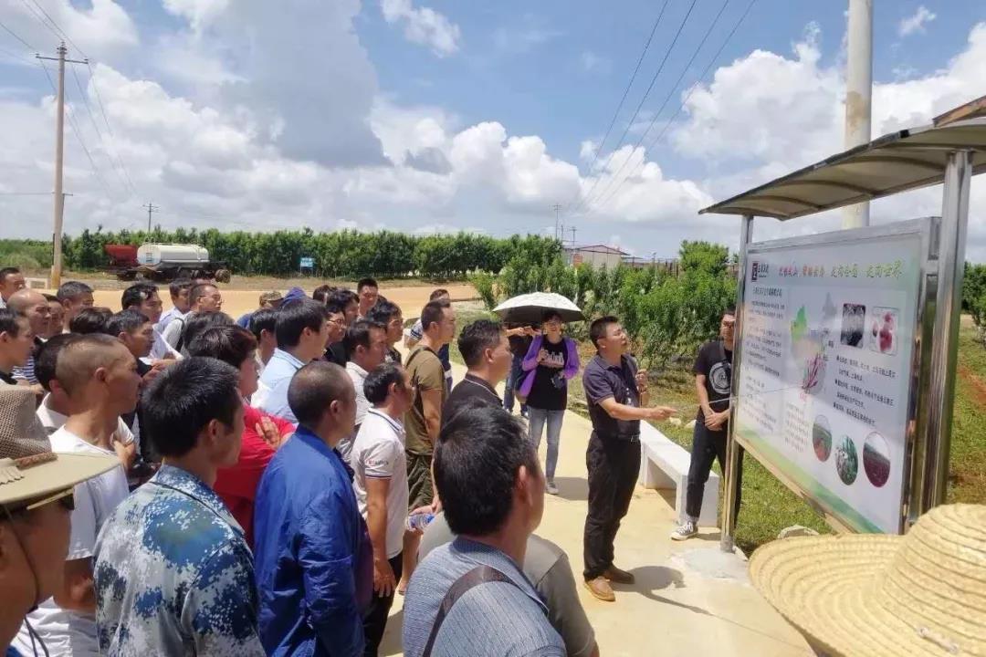 开元游戏大厅app·(中国集团)官方网站