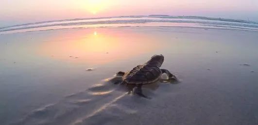 开元游戏大厅app·(中国集团)官方网站