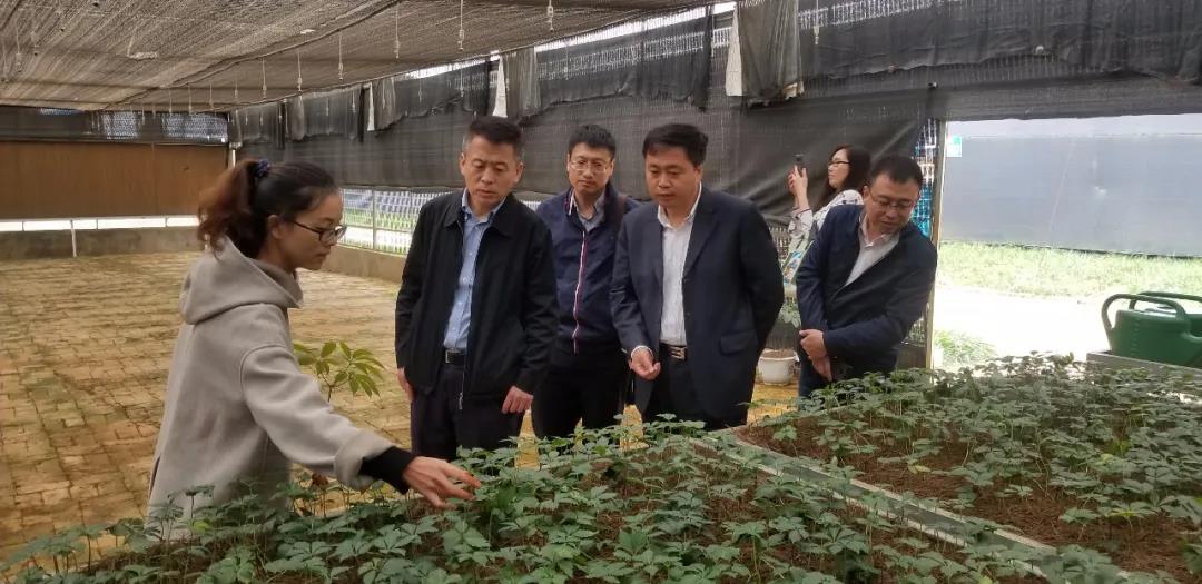 开元游戏大厅app·(中国集团)官方网站