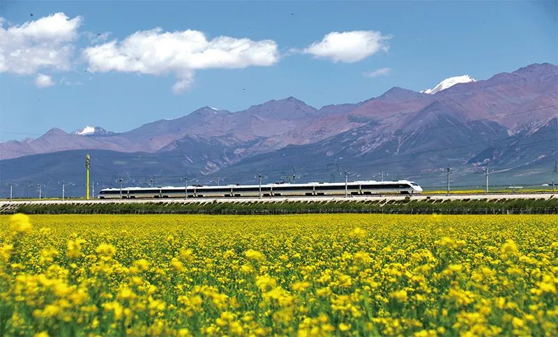 张玉卓、、国资、、央企、、国资委、、书记、、主任、、国企、、企业刷新