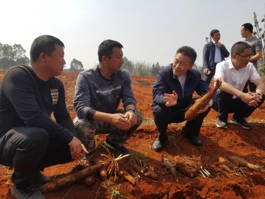 开元游戏大厅app·(中国集团)官方网站