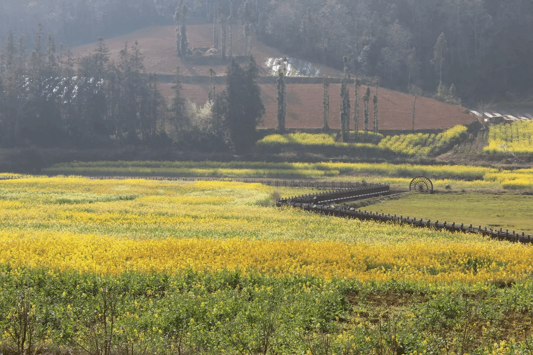 开元游戏大厅app·(中国集团)官方网站