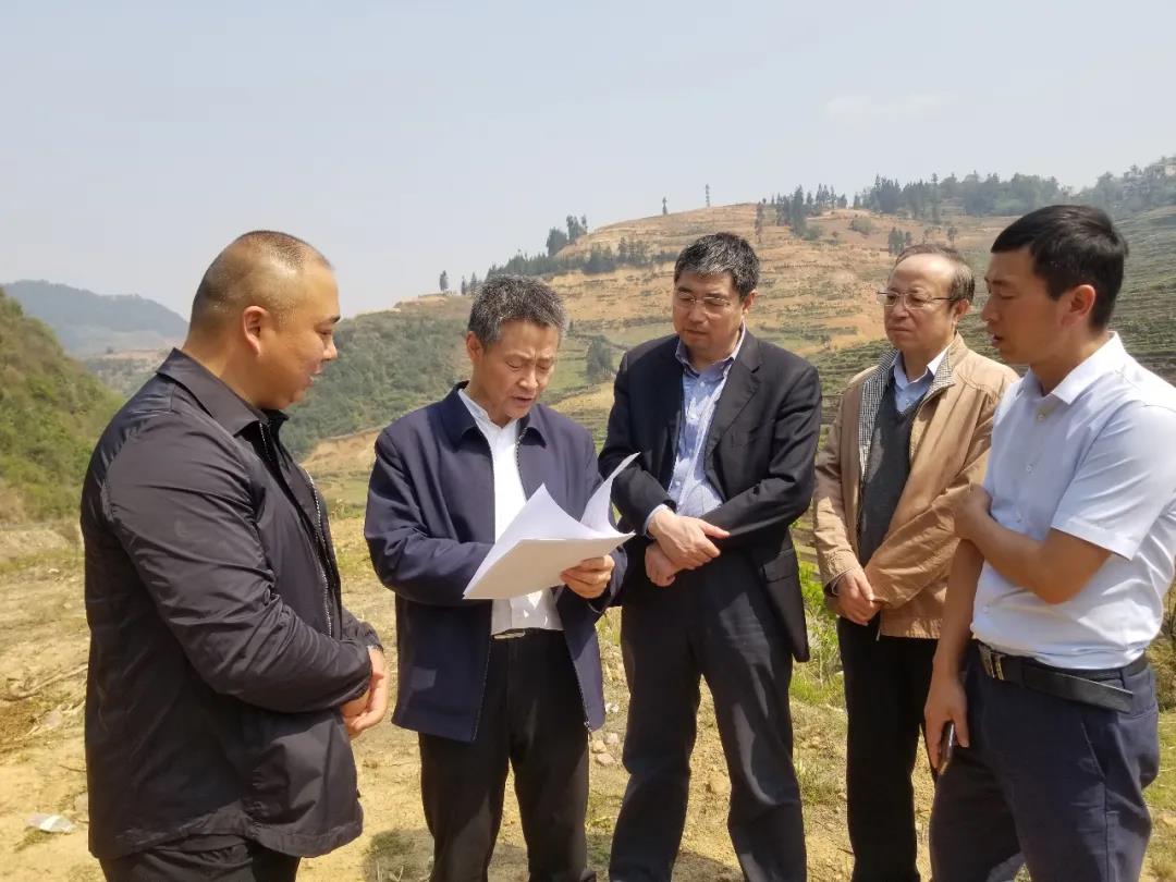 开元游戏大厅app·(中国集团)官方网站